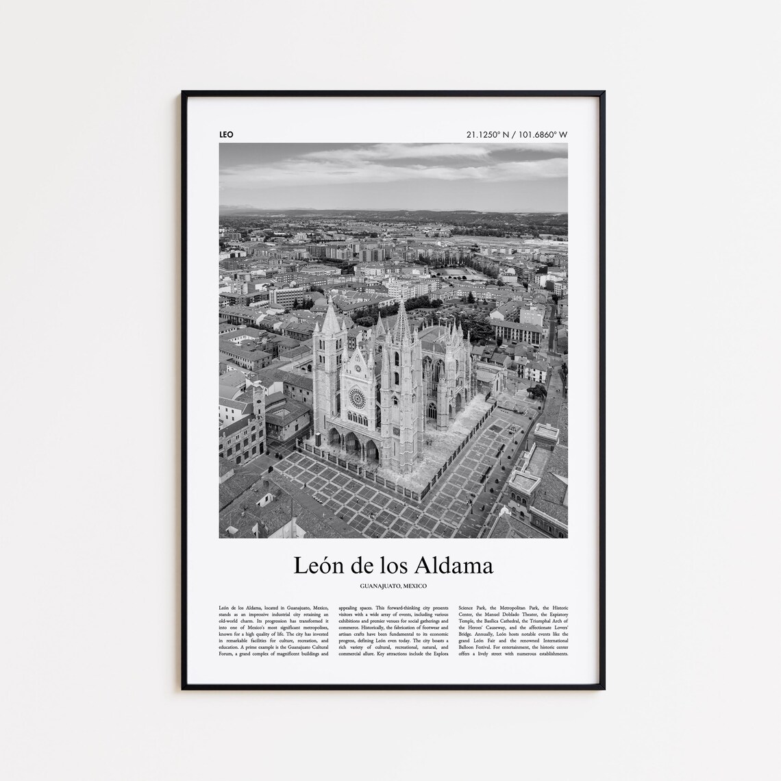 León de los Aldama Cathedral Aerial Black and White Photo Poster