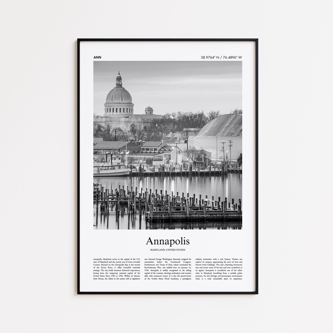 Annapolis Black and White Harbor Marina Waterfront Photo Poster