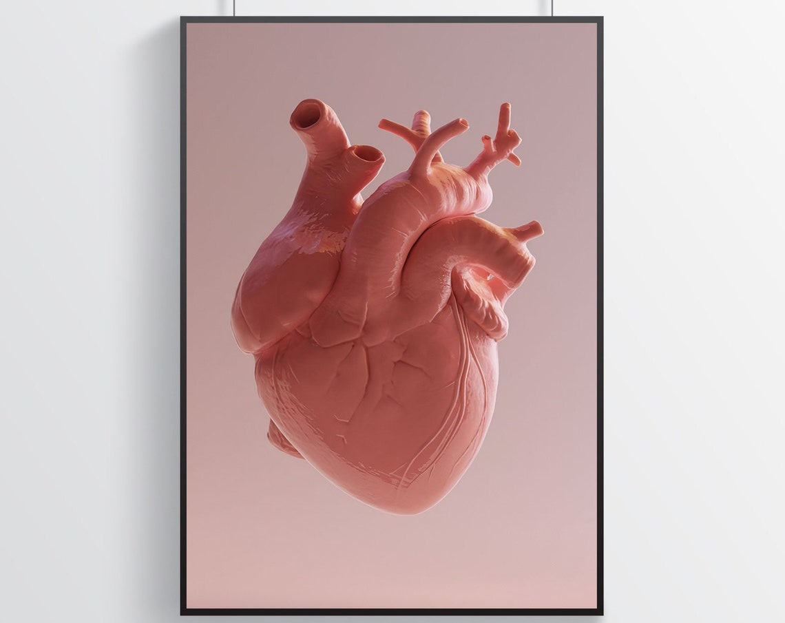 Anatomical Human Heart 3D Pink Modern Medical Anatomy Art Poster