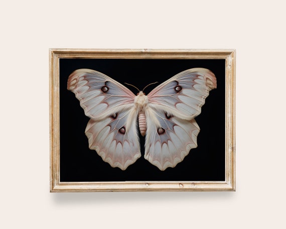 White Moth Victorian Art Butterfly Art Vintage Wall Art Butterfly Painting Dark Academia Decor Pastel Moth Print