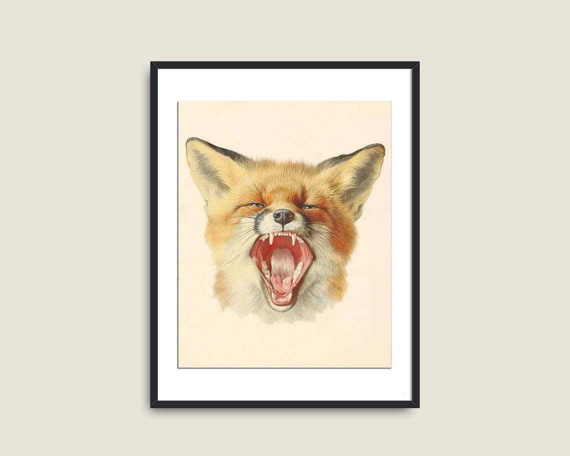 Yawning Red Fox With Open Mouth Vintage Wildlife Animal Art Print - Image 2