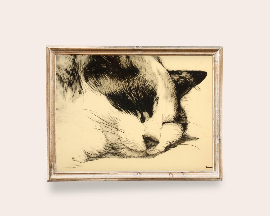 Sleeping Cat Vintage Ink Sketch Peaceful Black Cream Minimalist Animal Art