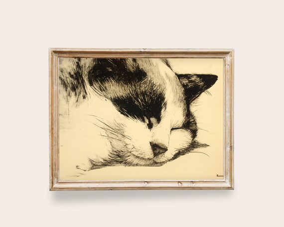 Sleeping Cat Vintage Ink Sketch Peaceful Black Cream Minimalist Animal Art