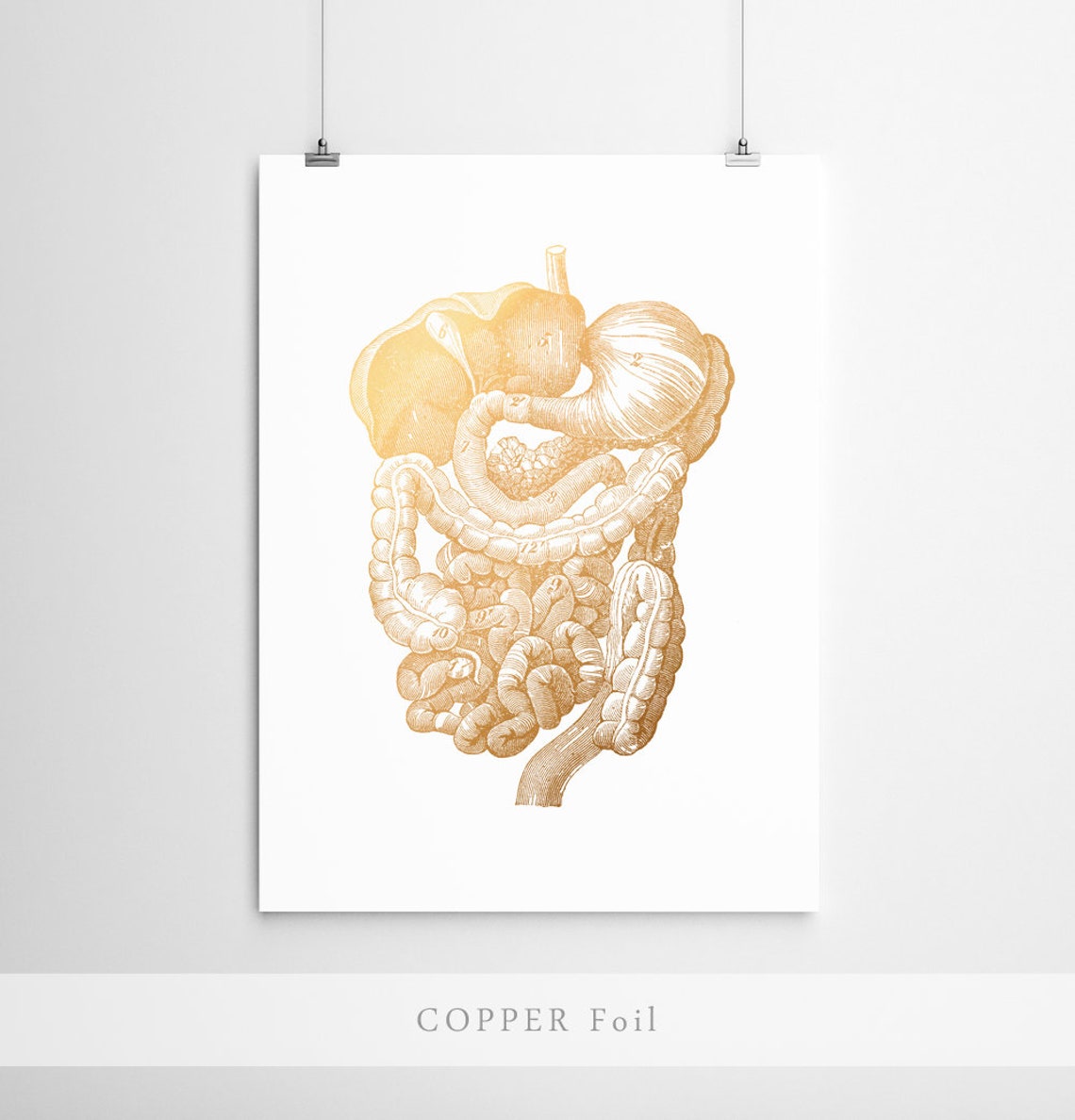 Digestive System Anatomy Gold Foil Vintage Medical Office Wall Art - Image 3