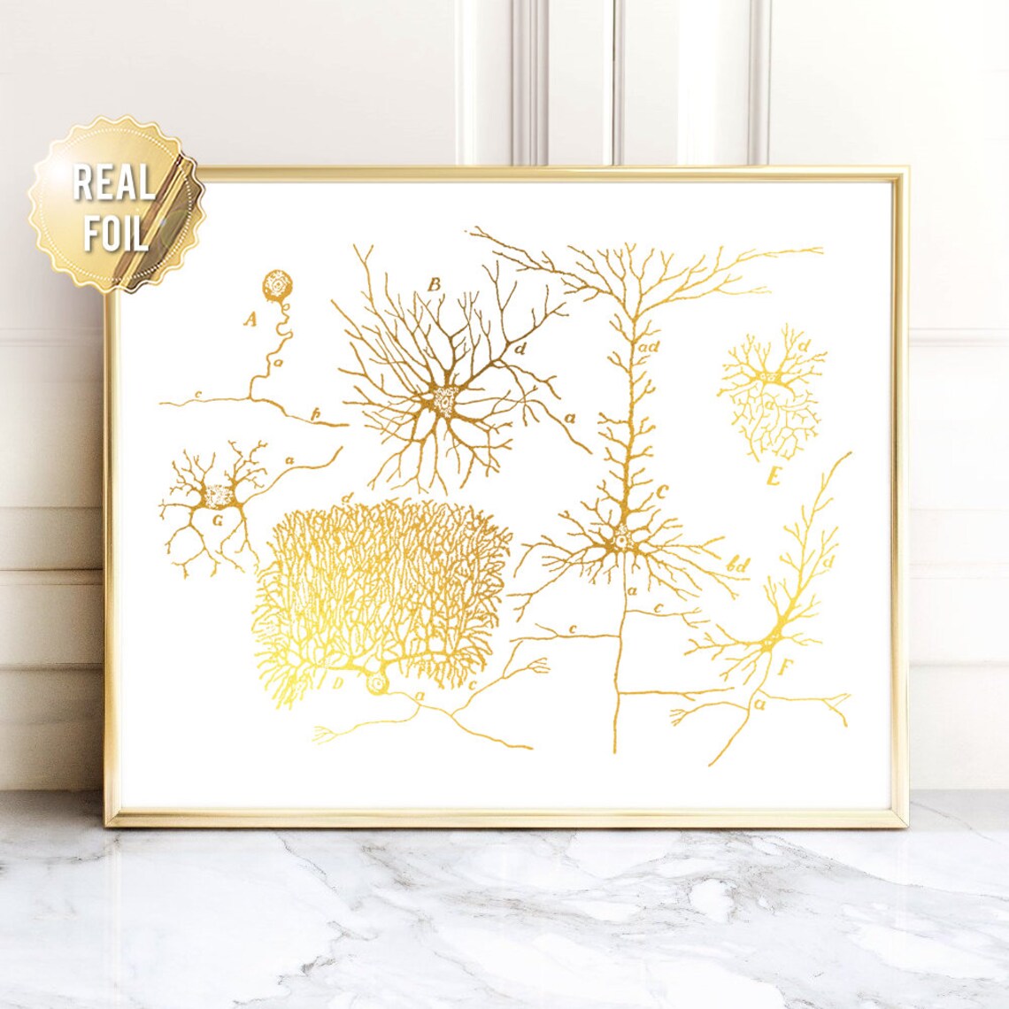Neuron Neuroscience Vintage Medical Art Print