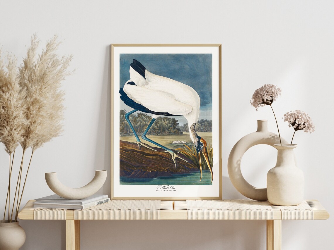 Audubon Bird Print Set, Vintage Retro Art Print - Image 5