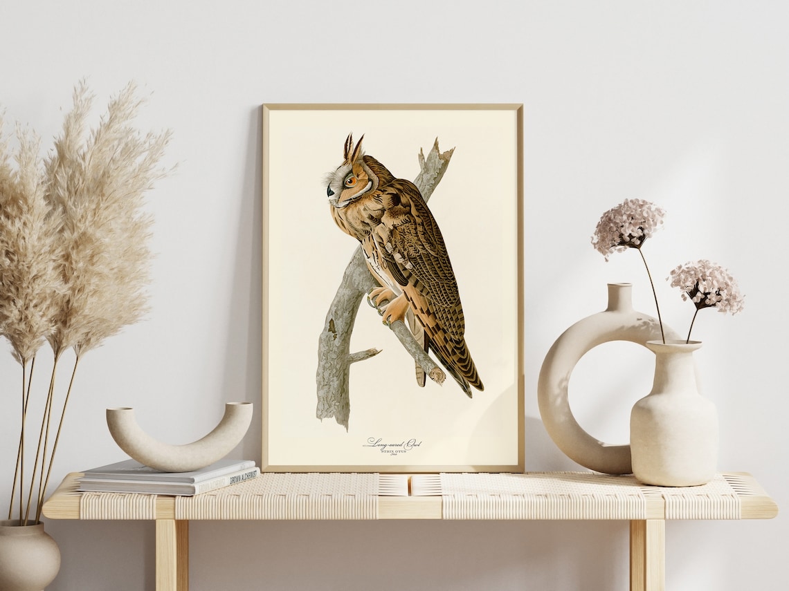 Classic Audubon Long Eared Owl Vintage Bird Illustration Print