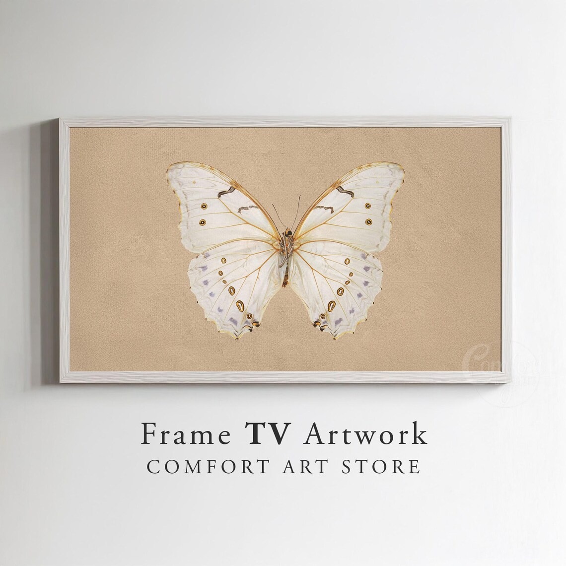 White Butterfly Specimen Vintage Entomology Frame TV Art Nature Poster - Image 3