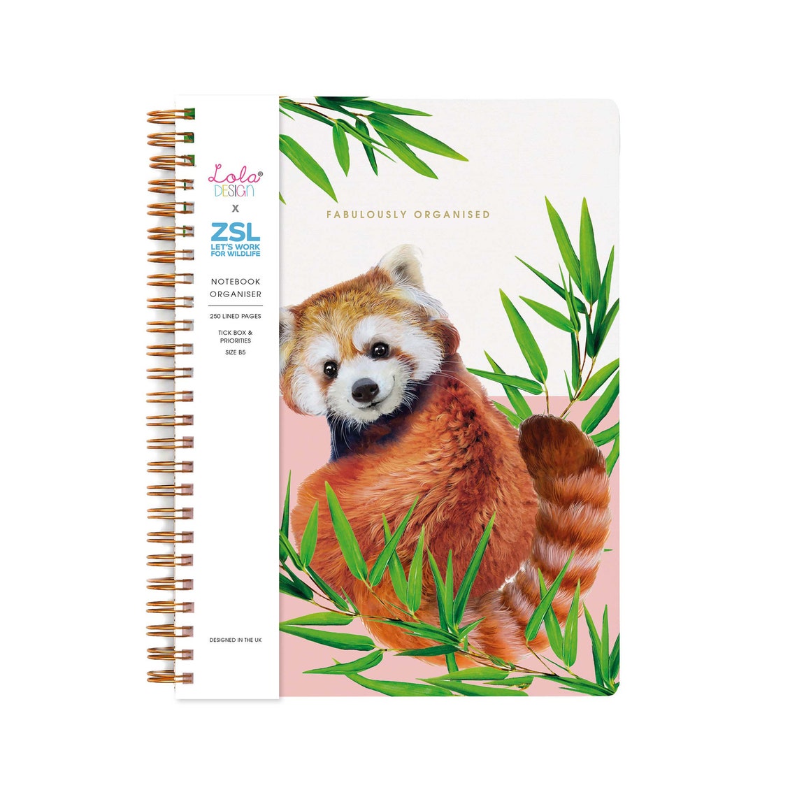 Red Panda - Lola Design