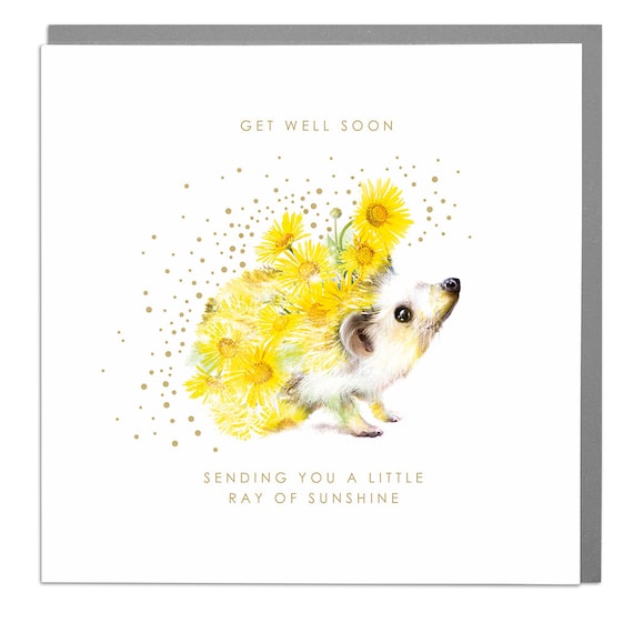Hedgehog Get Well Soon Card