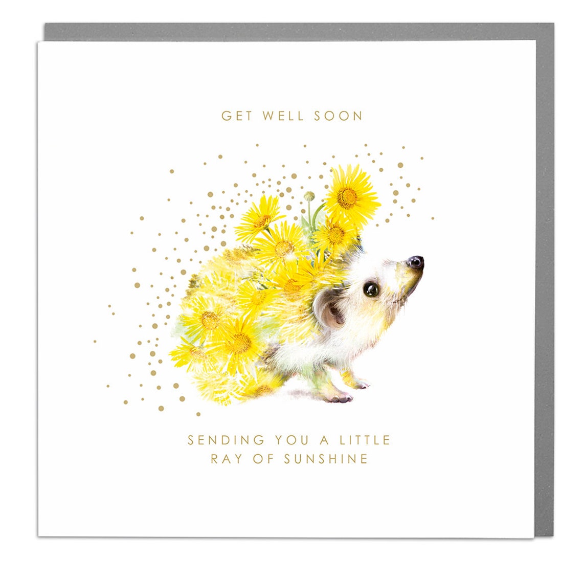 Hedgehog Get Well Soon Card
