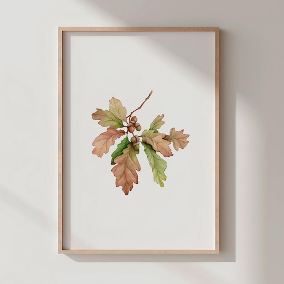 Fall Acorn Watercolor Print Rustic Autumn Botanical Art