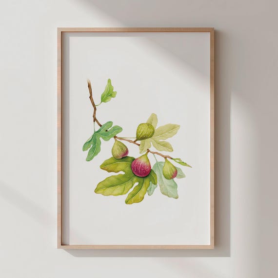 Fig Watercolor Print Botanical Kitchen Wall Art
