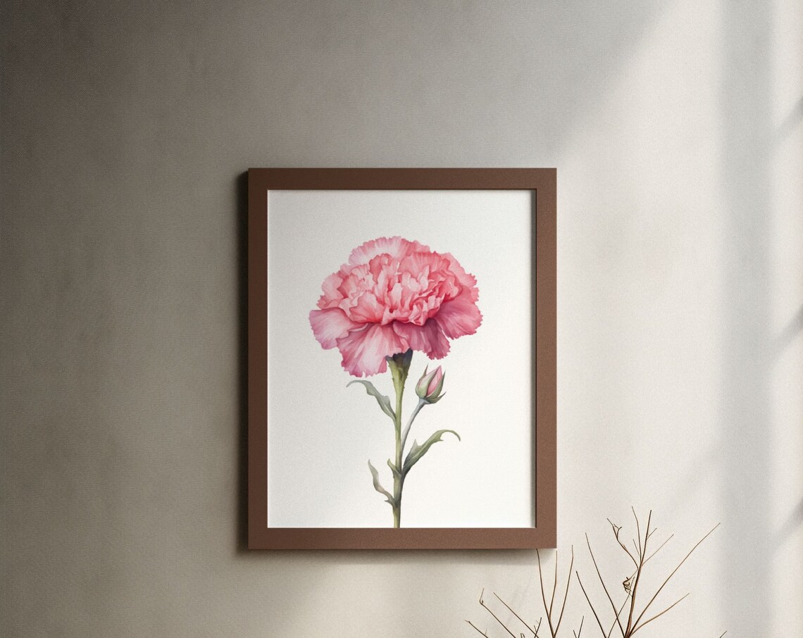 Pink Carnation and Bud Sweet Watercolour Botanical Flower Poster