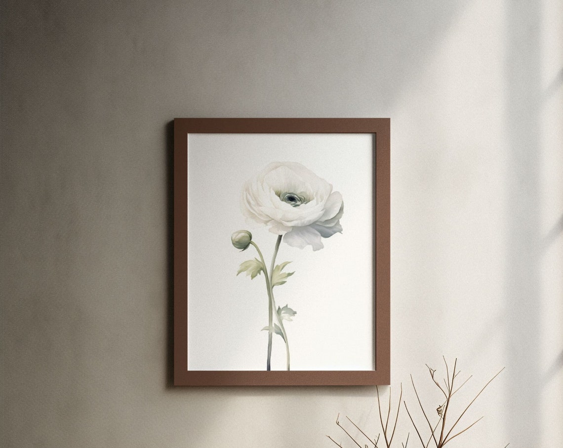 White Ranunculus and Bud Watercolour Botanical Flower Poster