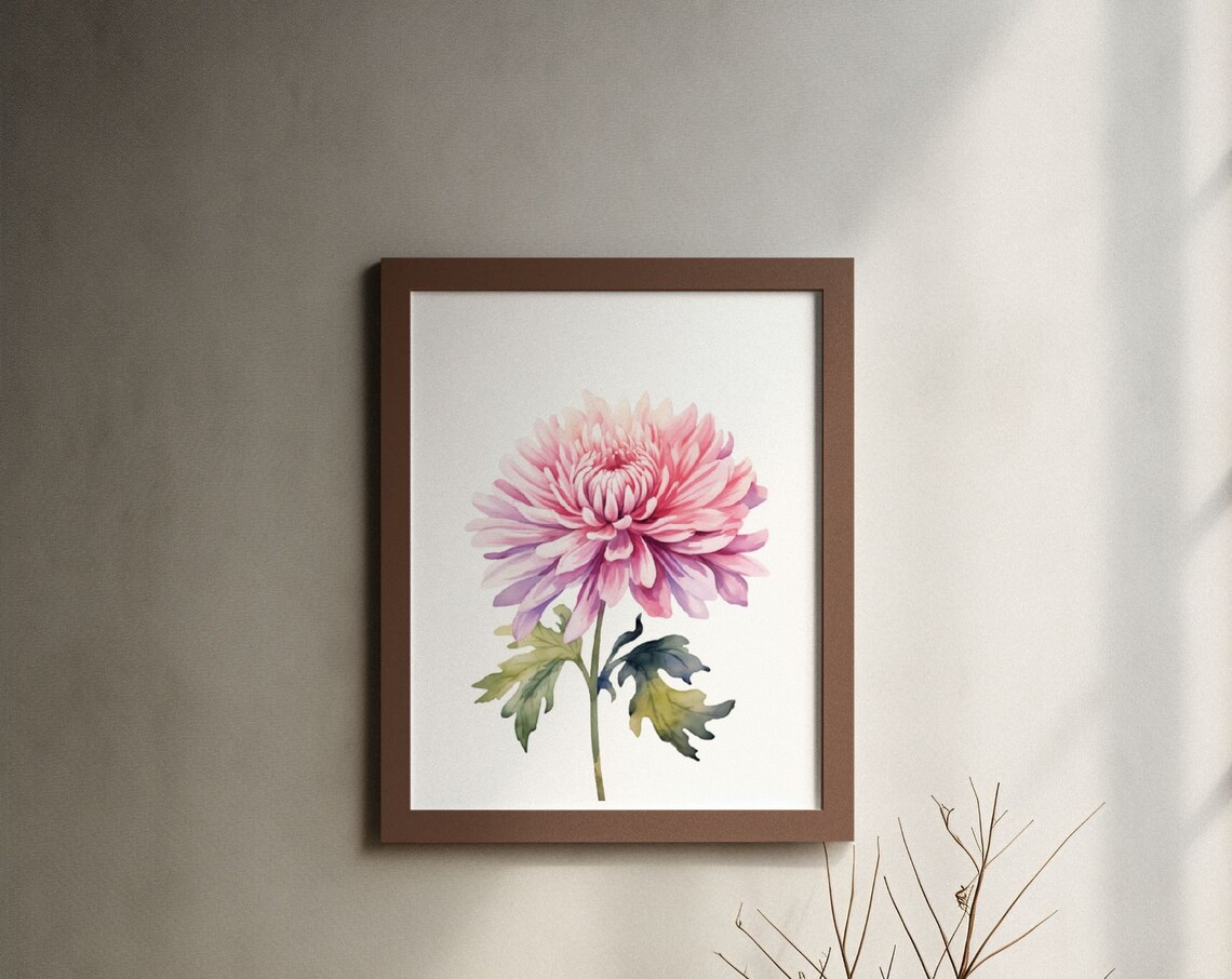 Pink Chrysanthemum Bloom Watercolour Botanical Flower Poster