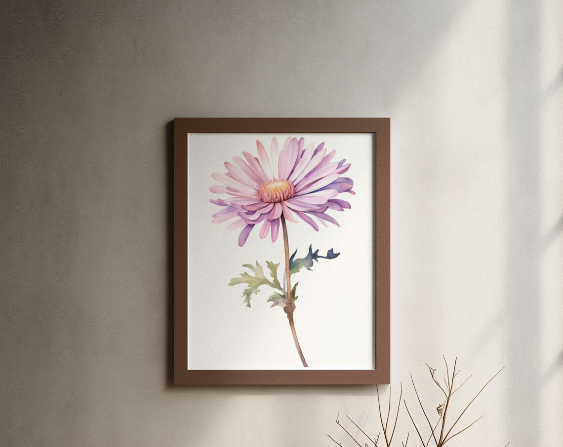 Lavender Pink Aster Daisy Bloom Watercolour Botanical Flower Poster