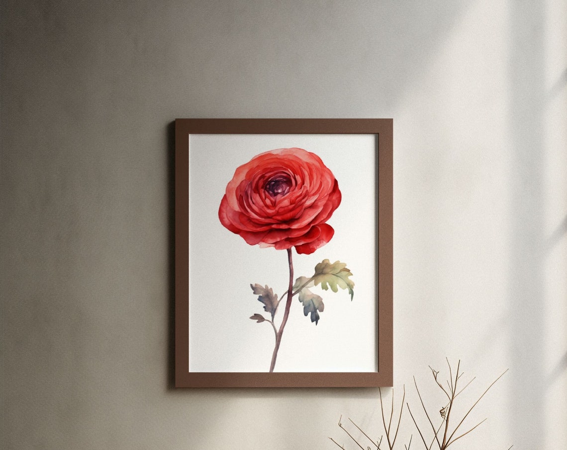 Red Ranunculus Single Bloom Watercolour Botanical Flower Poster