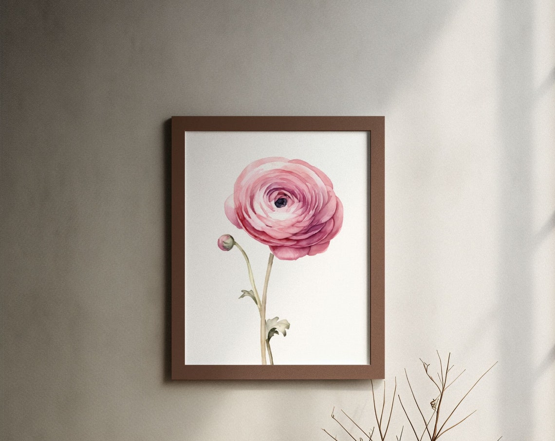Pink Ranunculus Single Bloom Watercolour Botanical Flower Poster