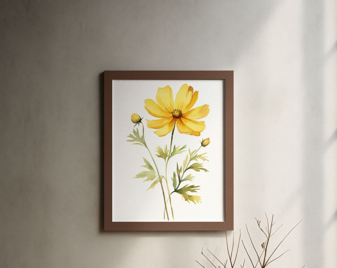 Yellow Cosmos Budding Stems Watercolour Botanical Flower Poster