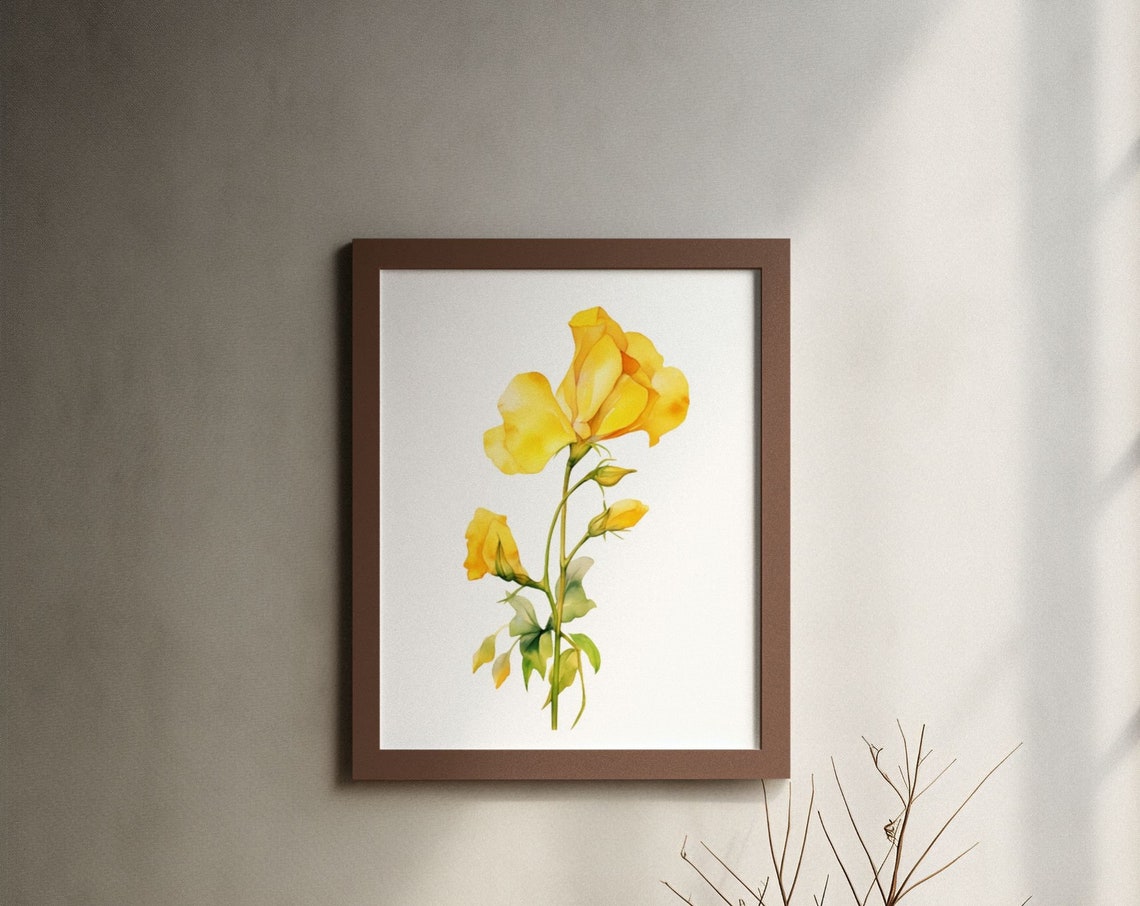 Yellow Sweet Pea Bloom and Two Buds Watercolour Flower Poster