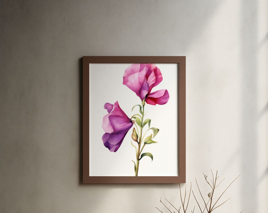 Purple Sweet Pea Twin Blossoms Watercolour Botanical Flower Poster