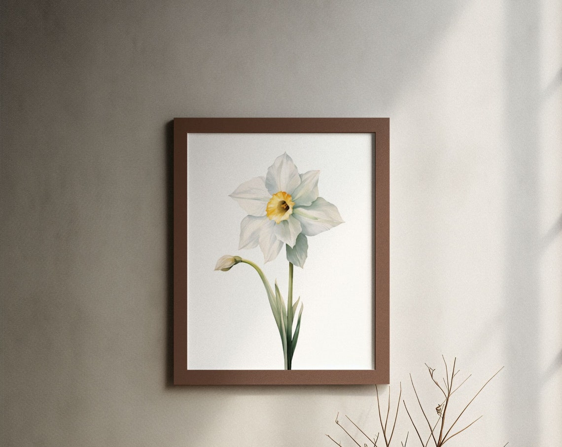 White Daffodil Spring Bloom Watercolour Botanical Flower Poster