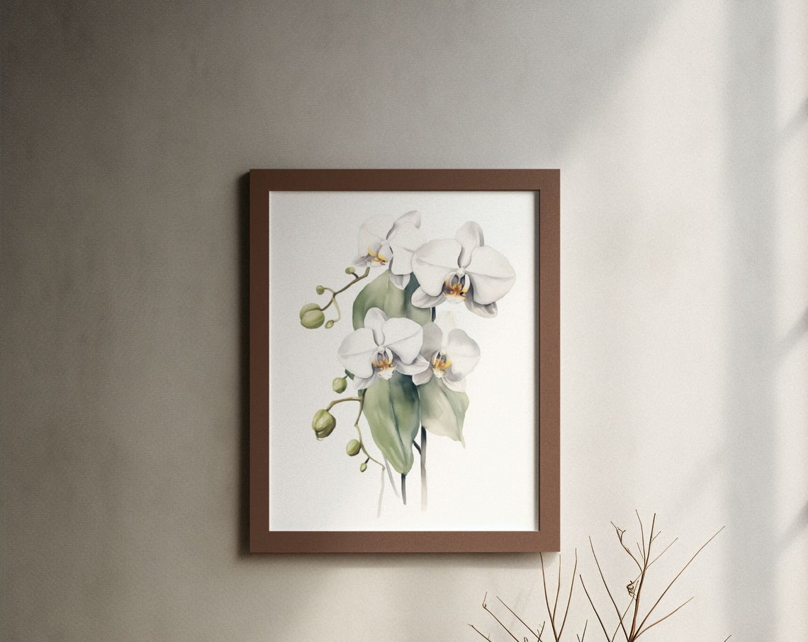 White Orchid Flower Stem Watercolour Botanical Flower Poster