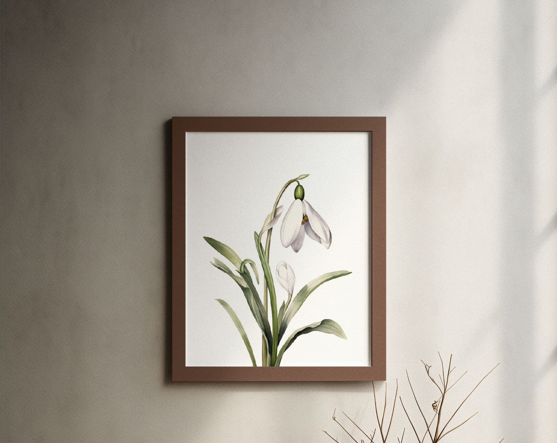 White Snowdrop Bell Flower Botanical Watercolor Study Poster
