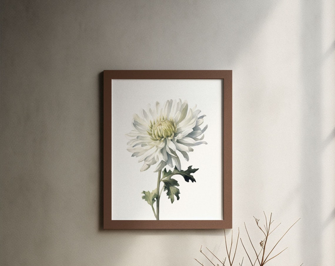 White Chrysanthemum Bloom Watercolour Botanical Flower Poster