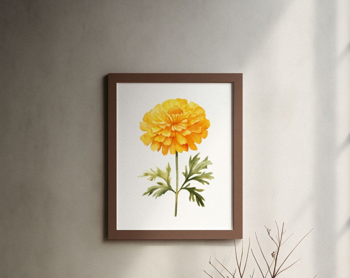 Yellow Marigold Pompon Bloom Watercolour Botanical Flower Poster