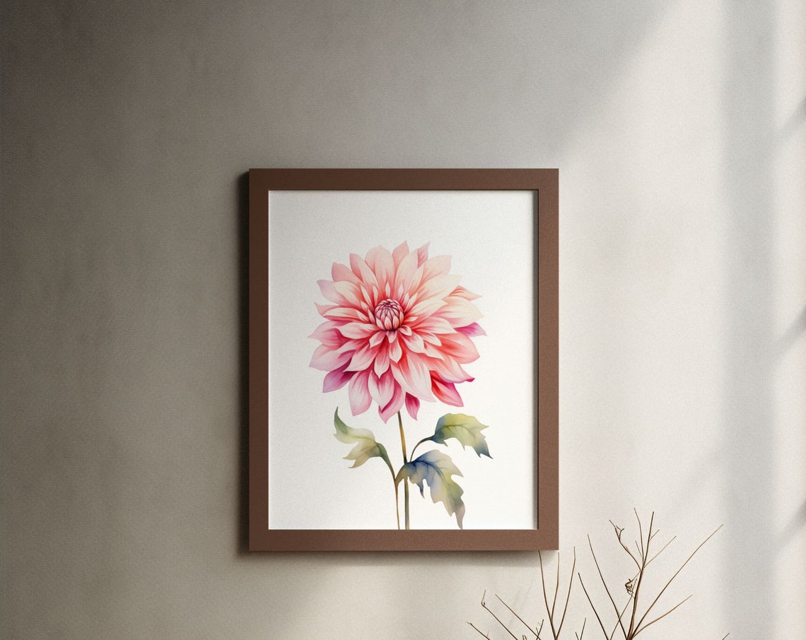 Blush Pink Dahlia Blossom Magenta Watercolour Botanical Art Poster