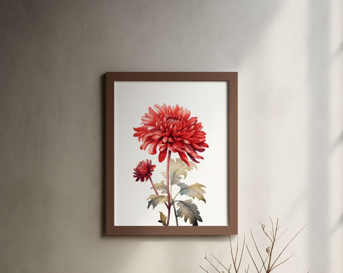 Red Chrysanthemum Single Bloom Watercolour Botanical Flower Poster