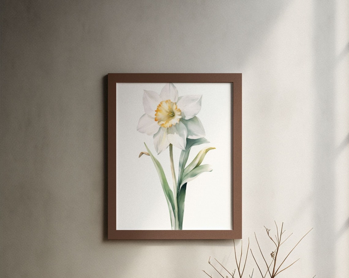 White Narcissus Single Bloom Watercolour Botanical Flower Poster
