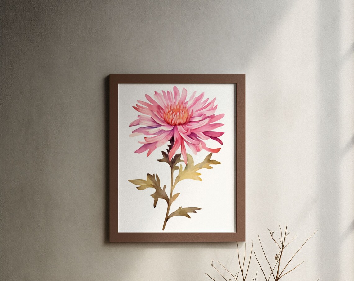 Coral Pink Aster Spiky Bloom Watercolour Botanical Flower Poster