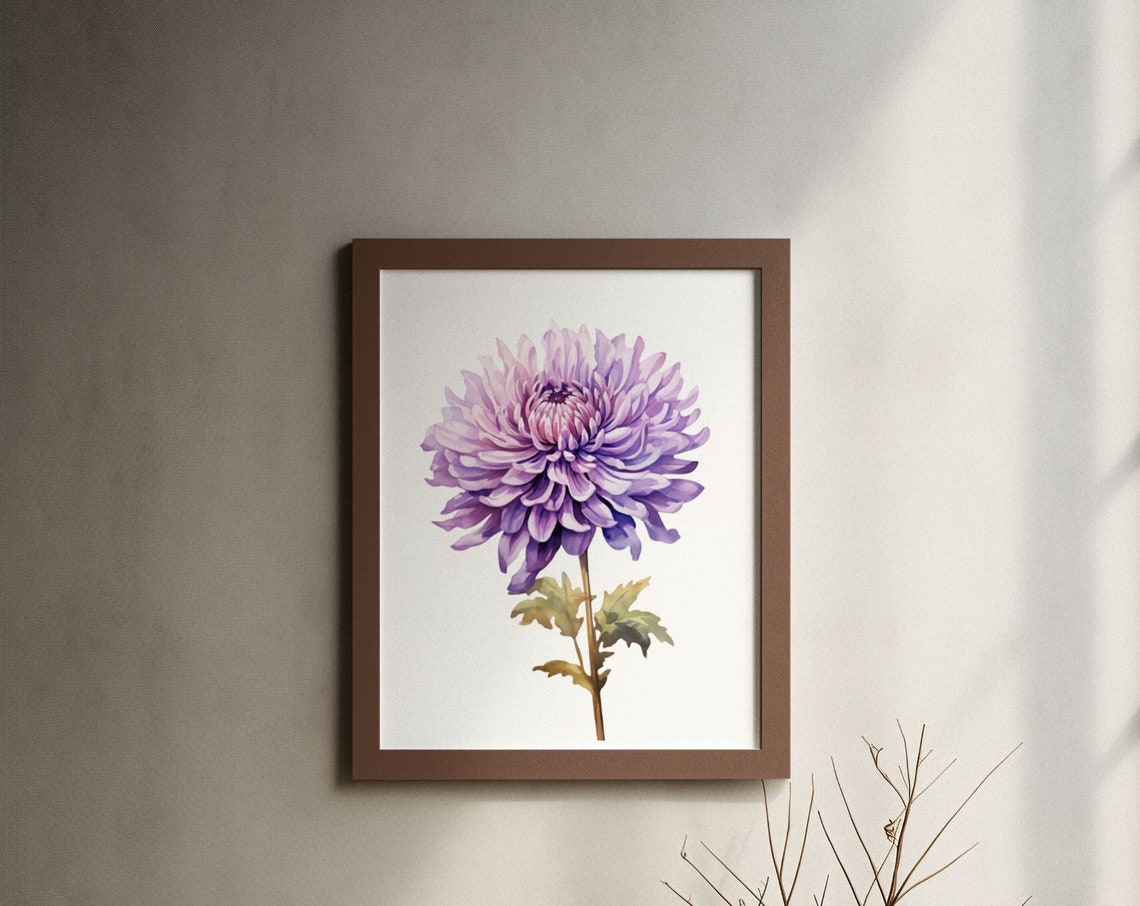 Purple Chrysanthemum Bloom Watercolour Botanical Flower Poster