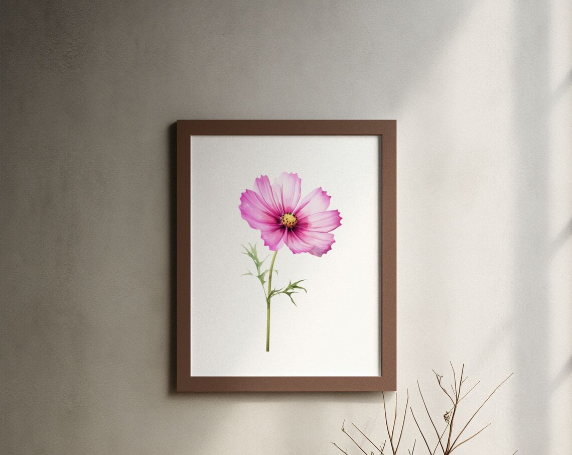 Pink Cosmos Single Bloom Watercolour Botanical Flower Poster