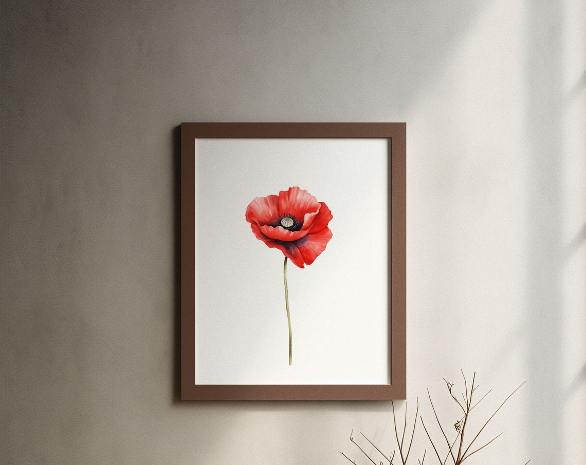 Red Poppy Single Bloom Classic Watercolour Botanical Flower Poster