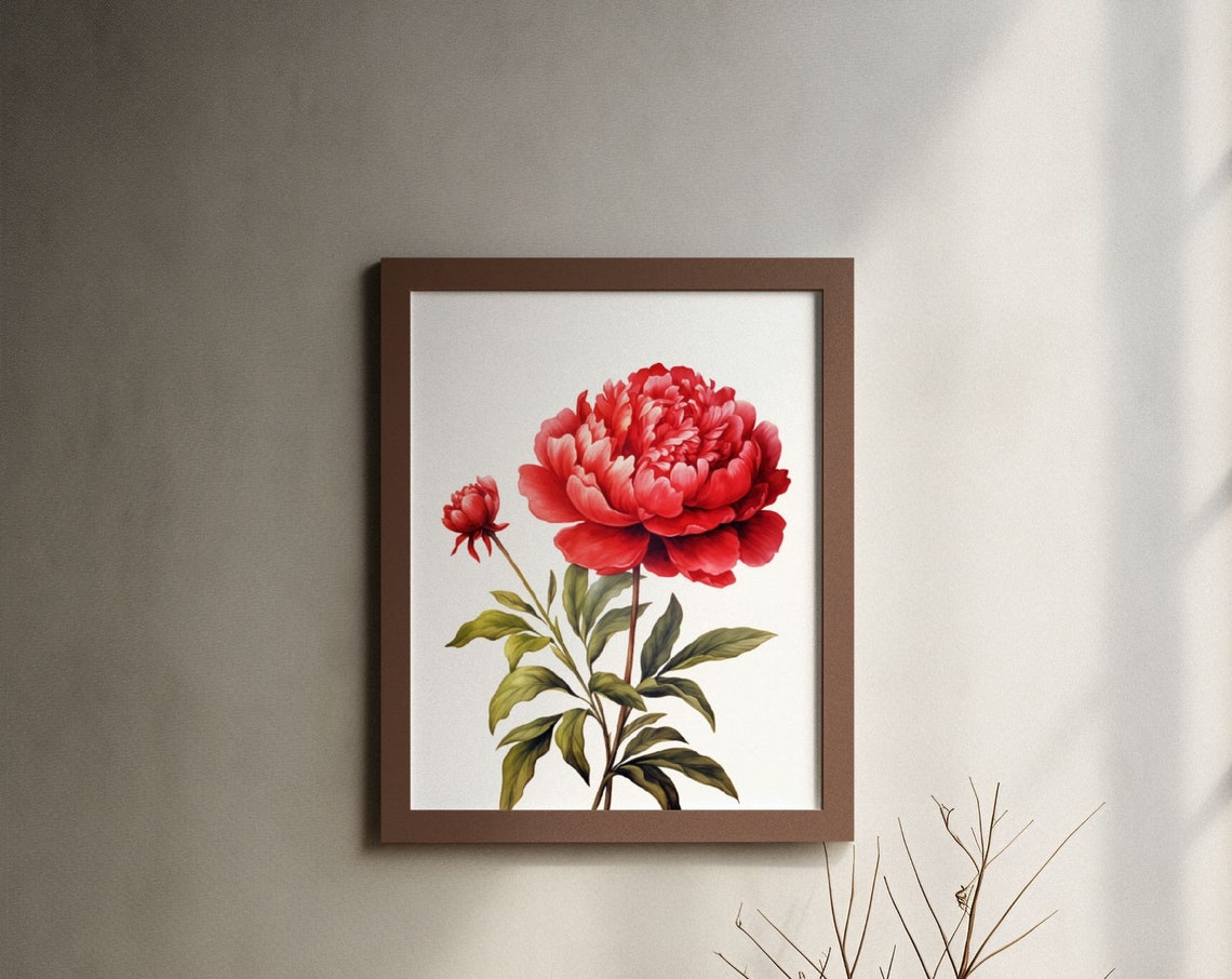 Red Peony Bloom with Bud Watercolour Botanical Flower Poster
