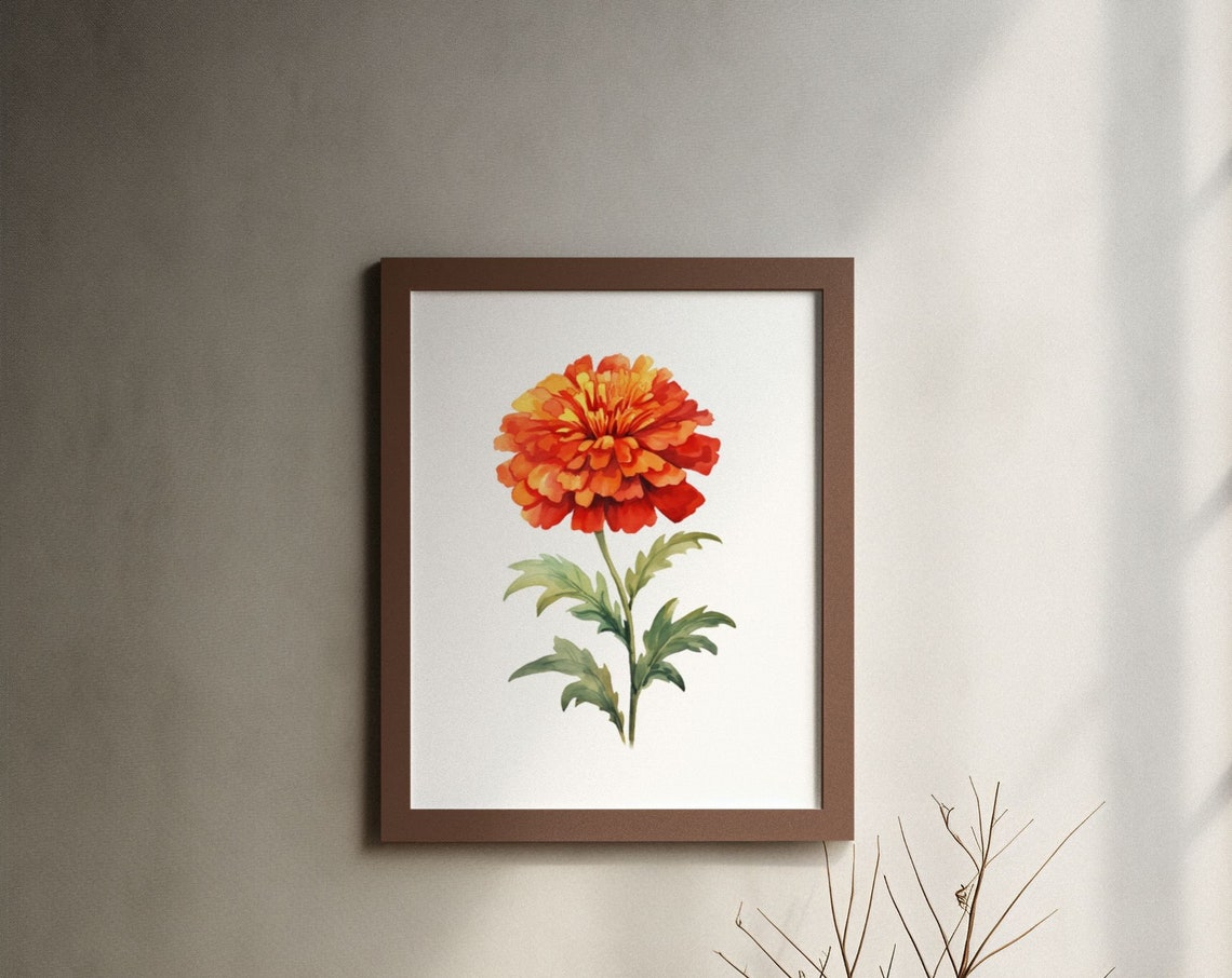 Bold Red Marigold Single Flower Watercolour Botanical Art Poster - Image 3