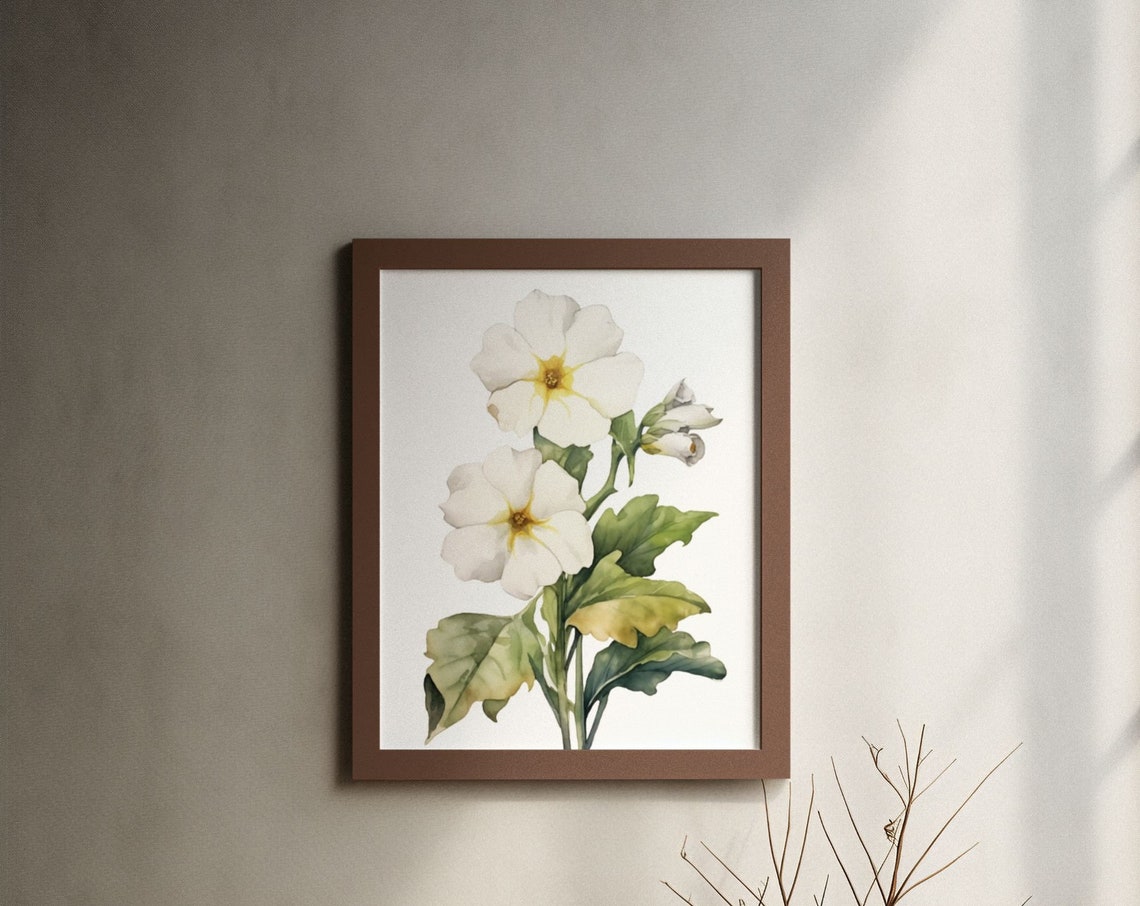 White Primrose Twin Blooms Watercolour Botanical Flower Poster