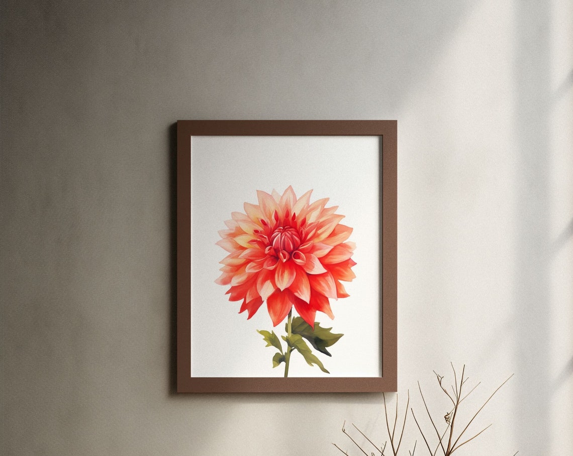 Crimson Red Dahlia Peach Highlight Watercolour Botanical Art Poster