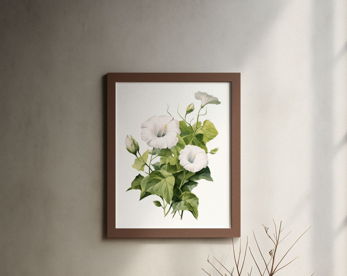 White Morning Glory Blooms Watercolour Botanical Flower Poster