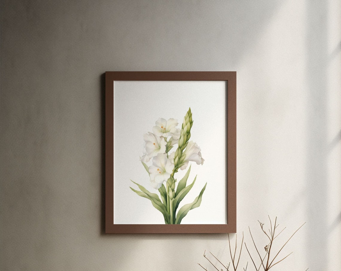 White Gladiolus Flower Spike Watercolour Botanical Flower Poster