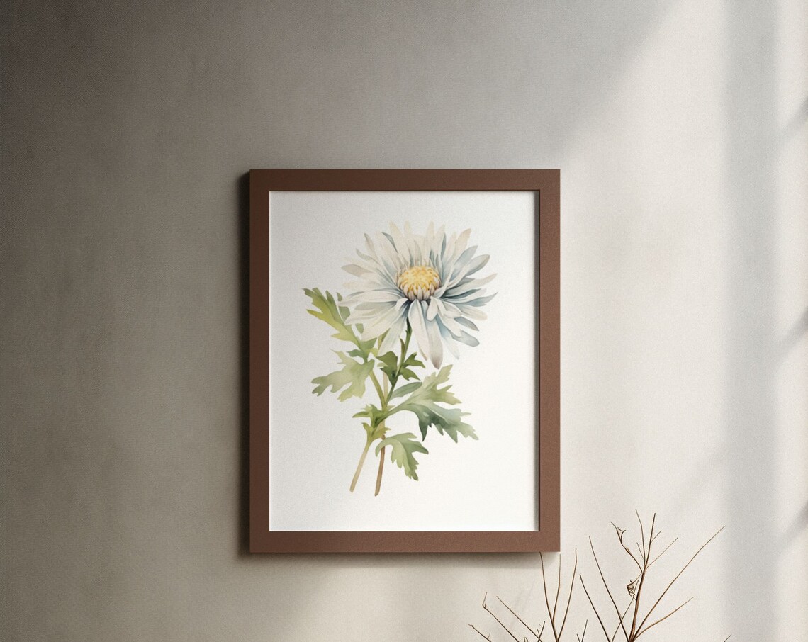 White Aster Flower Golden Center Watercolour Botanical Flower Poster