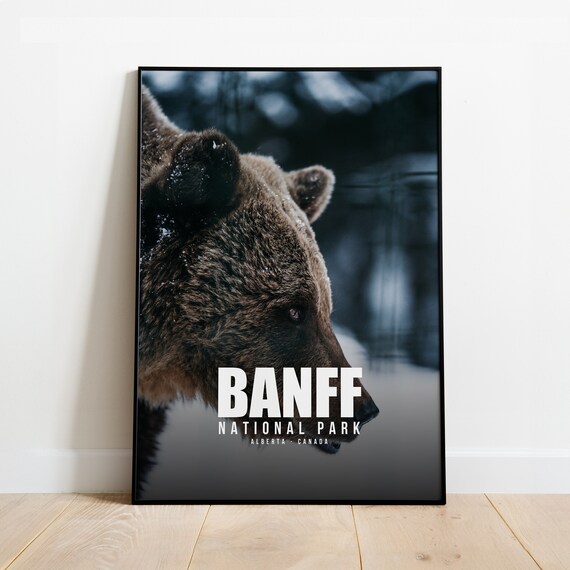 Banff National Park Canada Grizzly Bear Wildlife Travel Poster