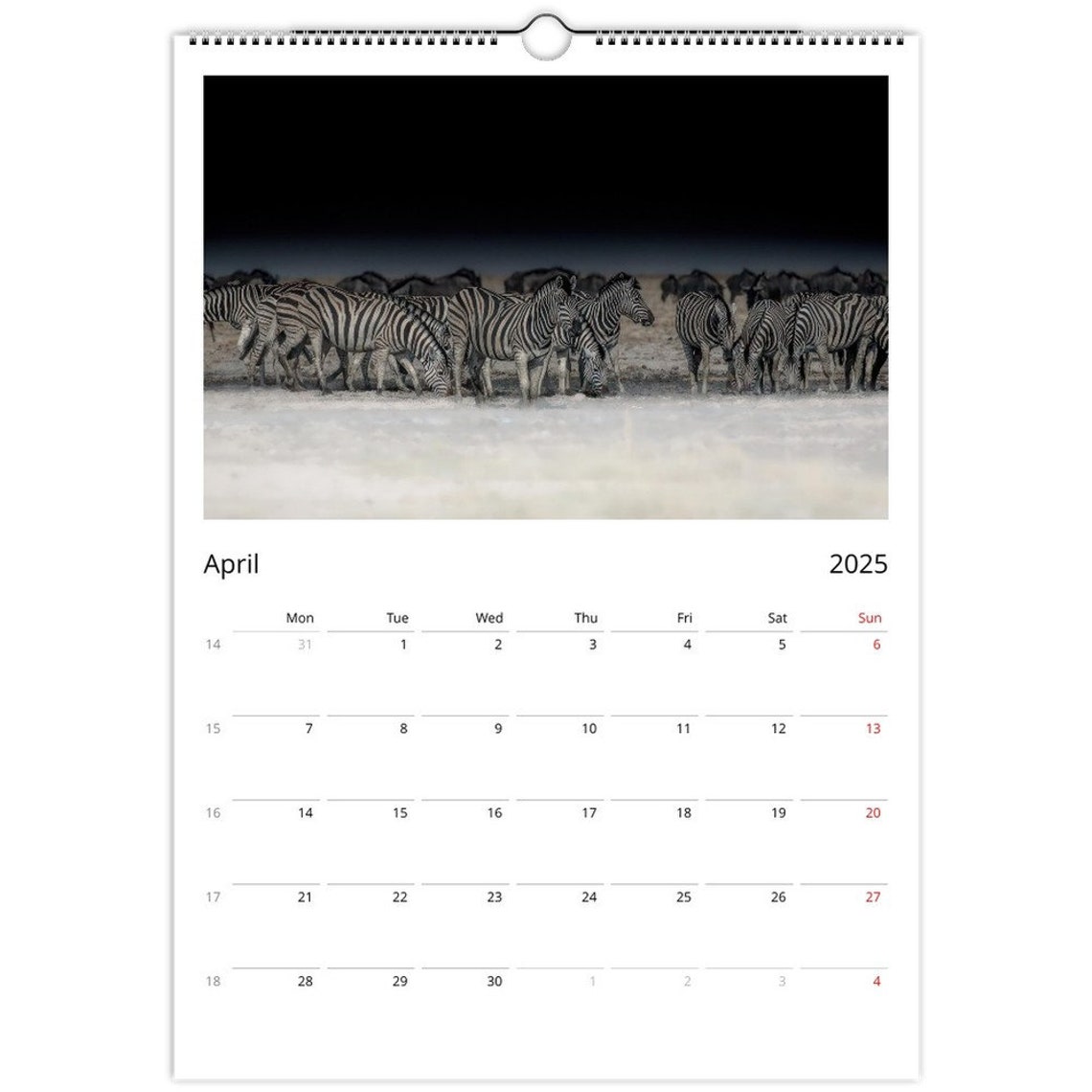 Namibia Giraffe Africa Impressions Wall Calendar Page Wall Art - Image 5