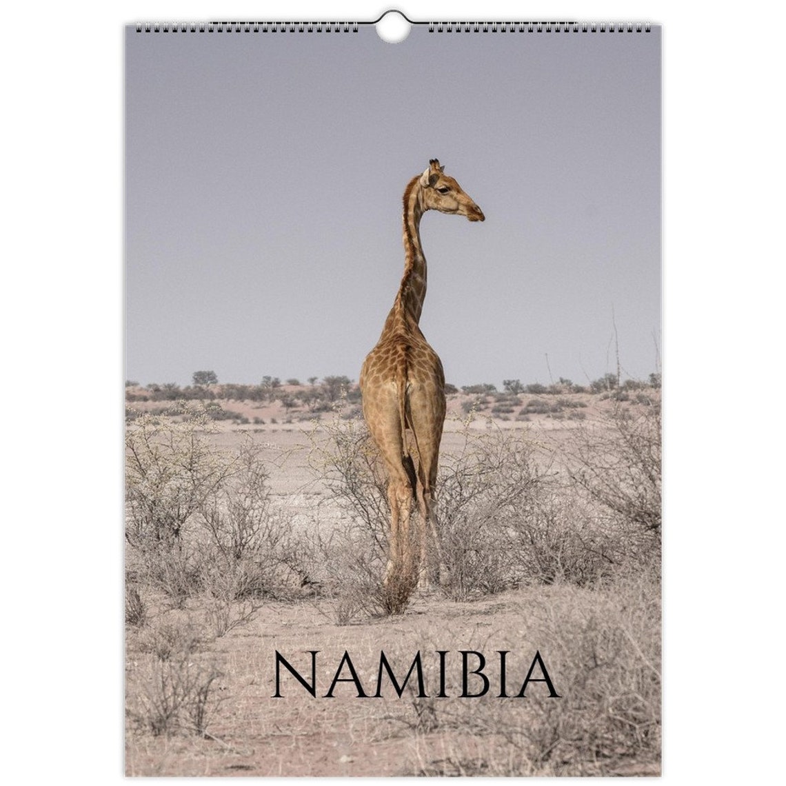Namibia Giraffe Africa Impressions Wall Calendar Page Wall Art