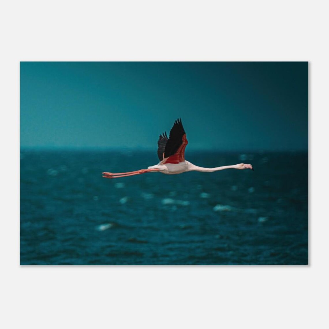 Walvis Bay Namibia Flying Flamingo Wildlife Photography Print - Image 2