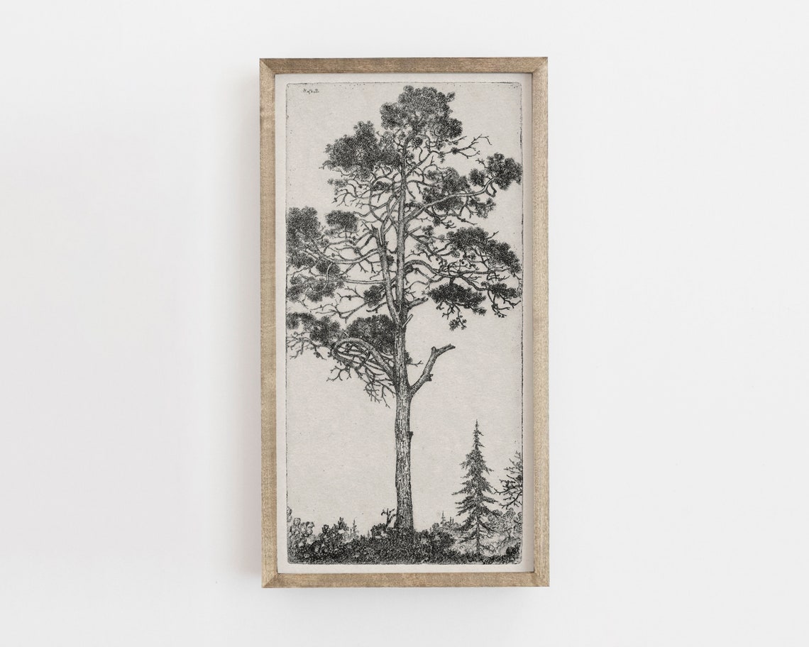 Vintage Tree Sketch Art Print, Botanical Drawing - Image 3
